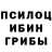 Галлюциногенные грибы Magic Shrooms biruk melaku
