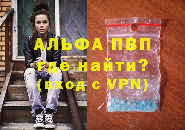 сатива Баксан