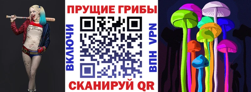 Галлюциногенные грибы Psilocybe  купить закладку  Льгов 